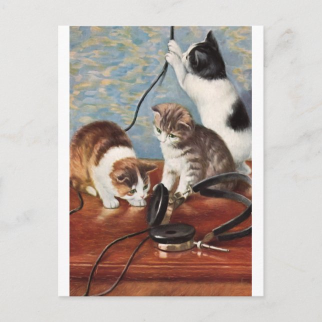 Postal Katze Vintage (Anverso)
