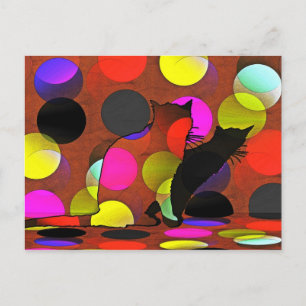 Postal Katzenkarte