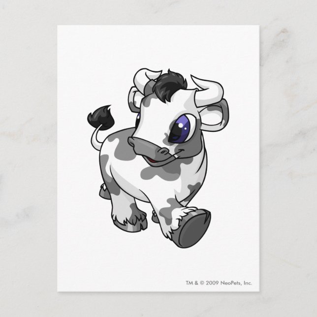 Postal Kau manchados (Anverso)