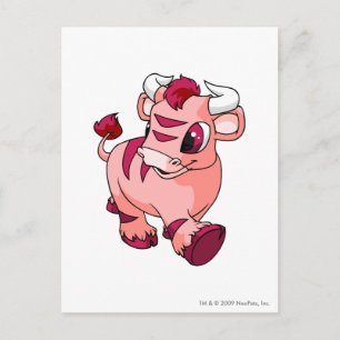 Postal Kau Pink