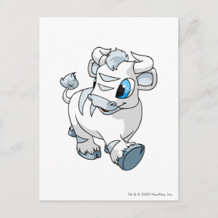 Postal Kau White