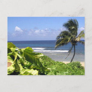 Postal Kauai