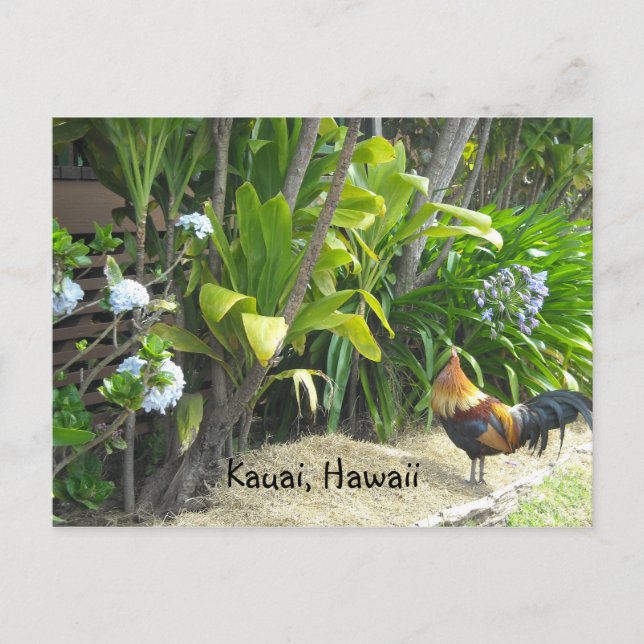 Postal Kauai, Hawái (Anverso)