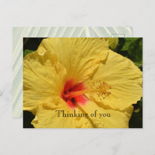Postal Kauai Hawaii Flor amarilla Hibiscus