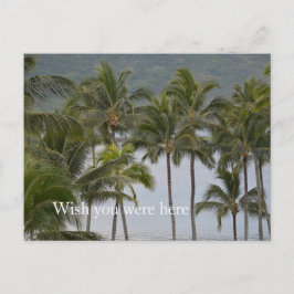 Postal Kauai Hawaii Lihue Palm Trees Ocean