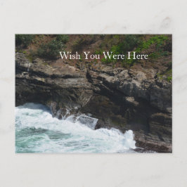 Postal Kauai Hawaii Peacock Feathers