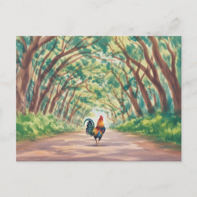 Postal Kauai  Rooster walking towards tree tunnel (Anverso)
