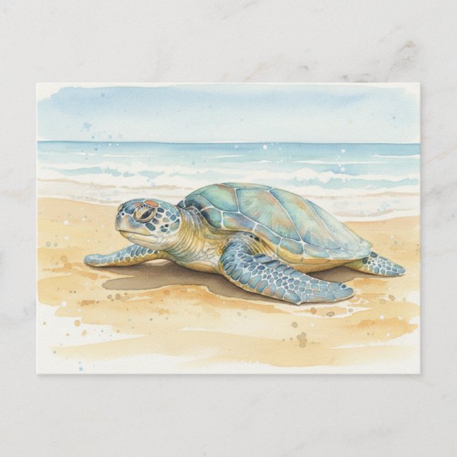 Postal Kauai  Sea Turtles Resting at the Beach (Anverso)