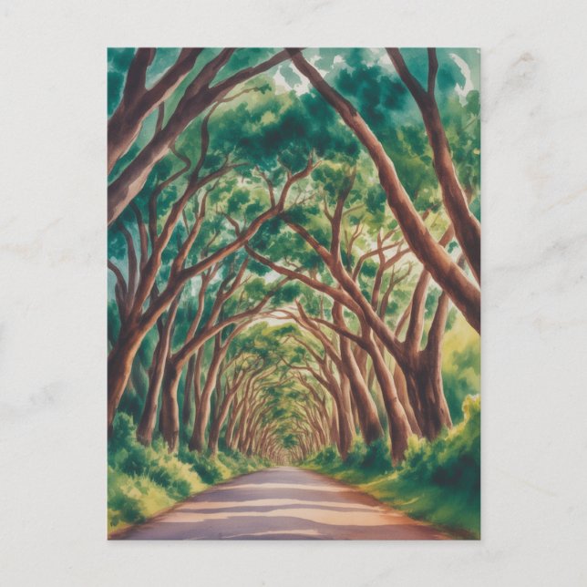 Postal Kauai Tree Tunnel watercolor (Anverso)