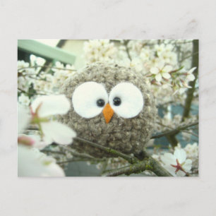 Postal Kawaii Oliver the Owl