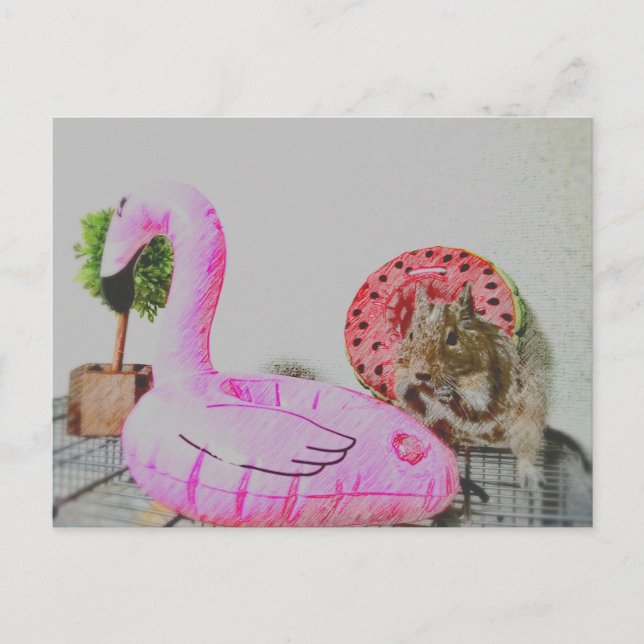 Postal Kawaii ♡ pequeño animal (Anverso)