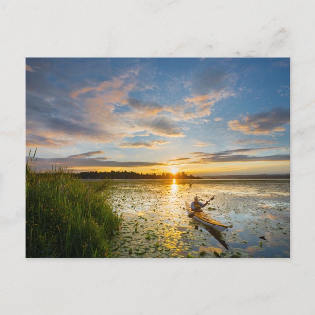 Postal Kayaker masculino remando kayak de mar en agua pot (Anverso)