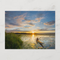 Kayaker masculino remando kayak de mar en agua pot