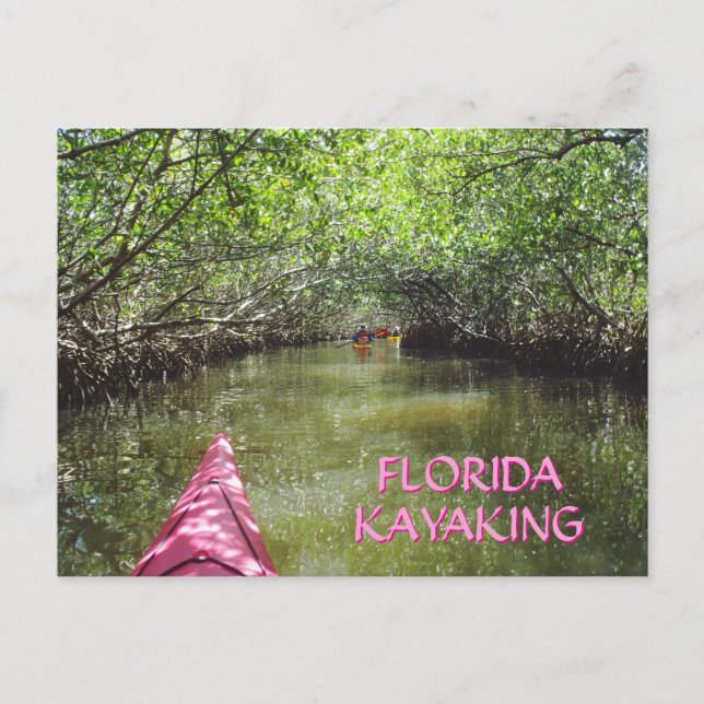 Postal Kayaking Through the Mangroves Florida Adventure (Anverso)