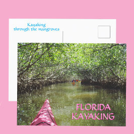 Postal Kayaking Through the Mangroves Florida Adventure