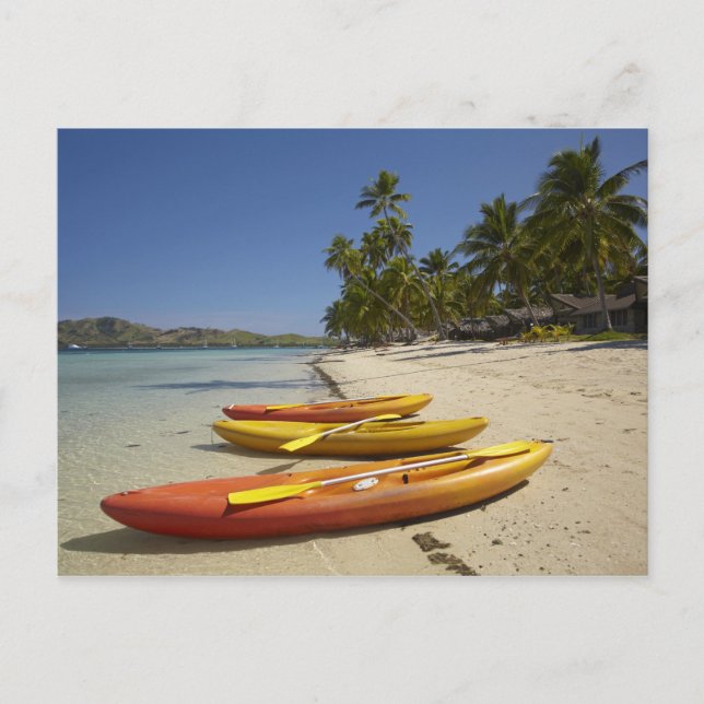 Postal Kayaks en la playa, Plantation Island Resort (Anverso)