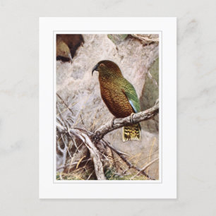 Postal Kea