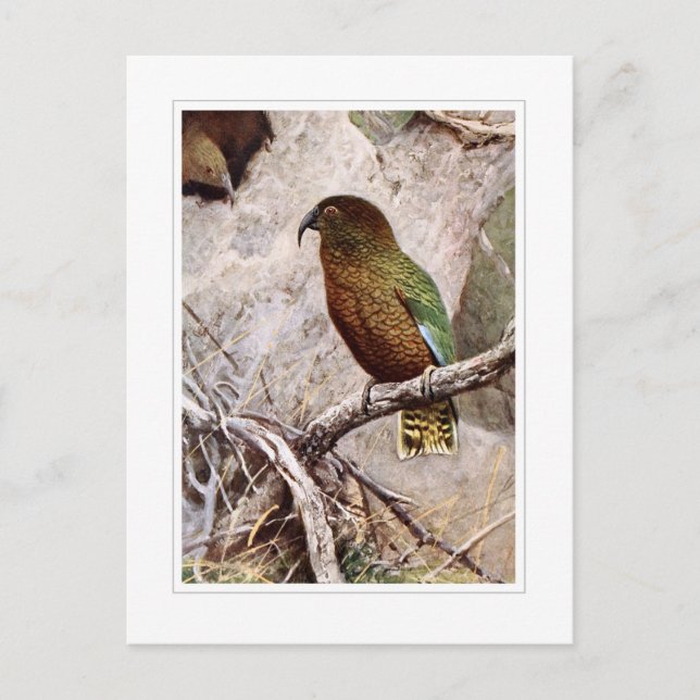 Postal Kea (Anverso)