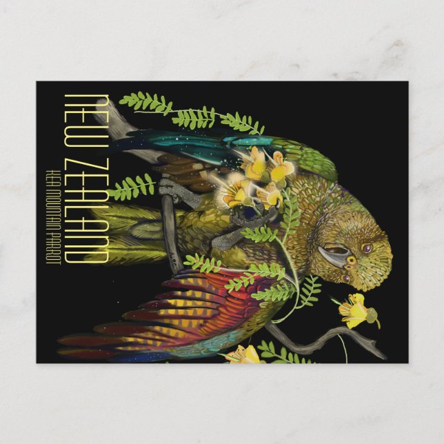 Postal Kea New Zealand Mountain Parrot (Anverso)