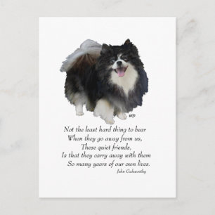 Postal Keepsake de Pomerania negra