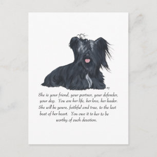 Postal Keepsake de Skye Terrier FEMALE