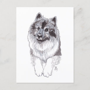 Postal Keeshond 2019