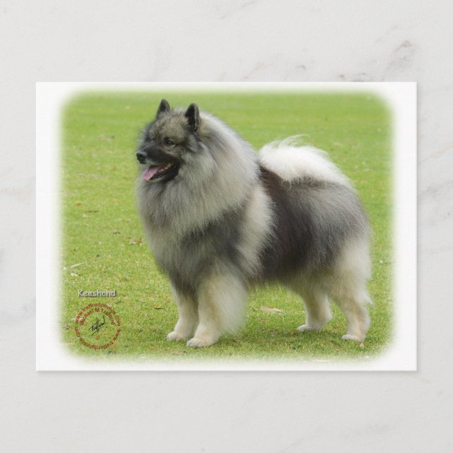 Postal Keeshond 9J28D-01 (Anverso)