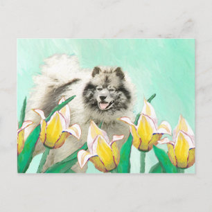 Postal Keeshond en tulipanes pintando arte original del p