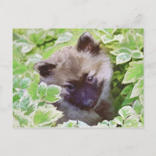 Postal Keeshond Puppy en el jardín pintando arte original