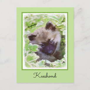 Postal Keeshond Puppy en el jardín pintando arte original