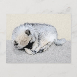 Postal Keeshond Sleeping Pinting Pintura Original De Perr