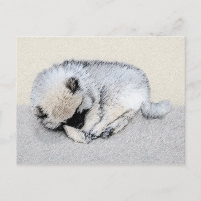 Postal Keeshond Sleeping Pinting Pintura Original De Perr (Anverso)