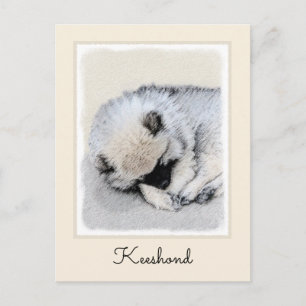 Postal Keeshond Sleeping Pinting Pintura Original De Perr