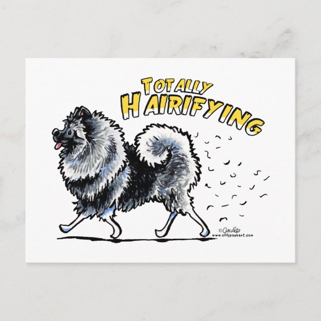 Postal Keeshond Totalmente Hairifying (Anverso)