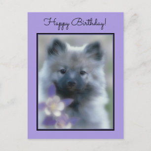 Postal Keeshond y Columbine - Fotografía de perro