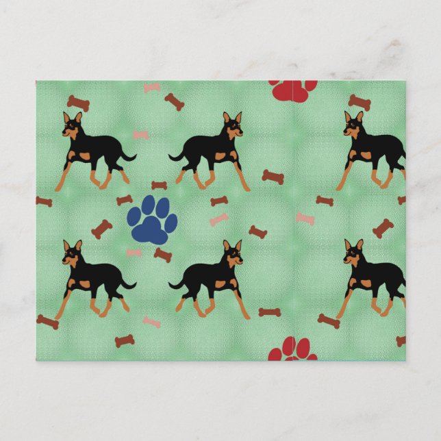 Postal Kelpie australiano (Anverso)