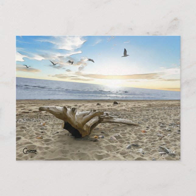 Postal Kenai Beach Alaska - Postcard (Anverso)