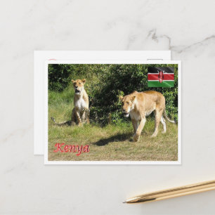 Postal Kenia - Lioness -