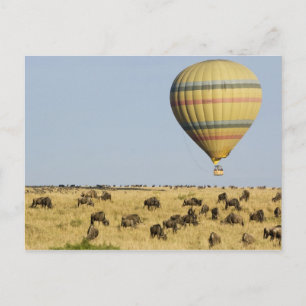 Postal Kenia, Masai Mara. Los turistas van en globo aeros