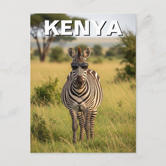 Postal Kenia Masai Mara Zebra con gafas de sol (Anverso)