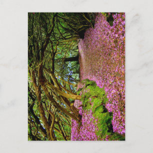 Postal Kenmare Fairy Road