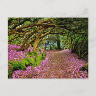 Postal Kenmare Fairy Road