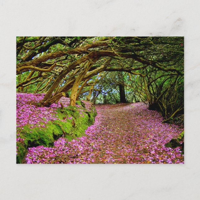 Postal Kenmare Fairy Road (Anverso)