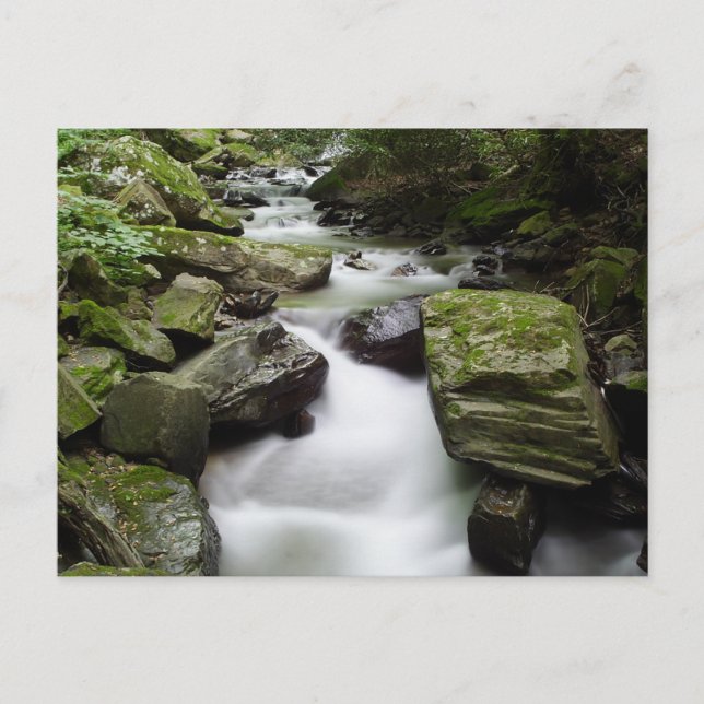 Postal Kenny Creek Falls (Anverso)