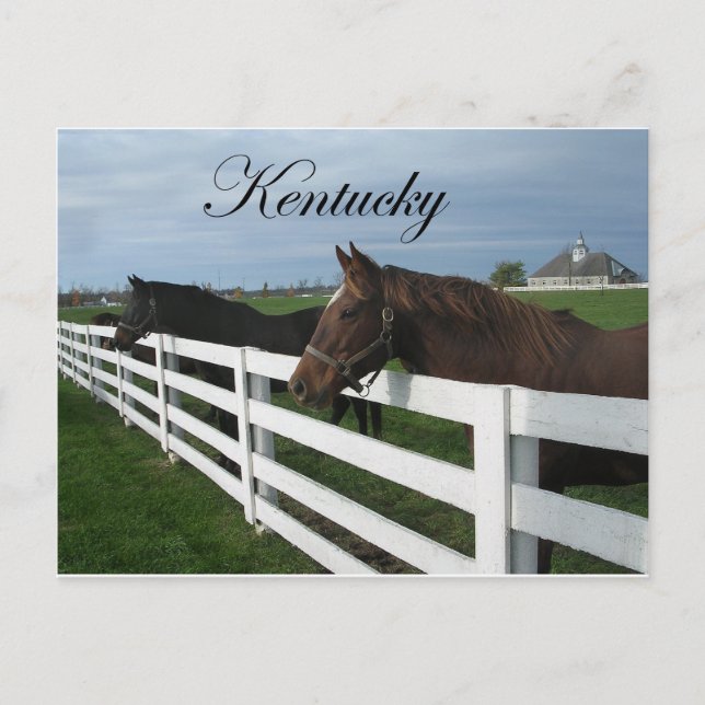 Postal Kentucky Bluegrass Country (Anverso)