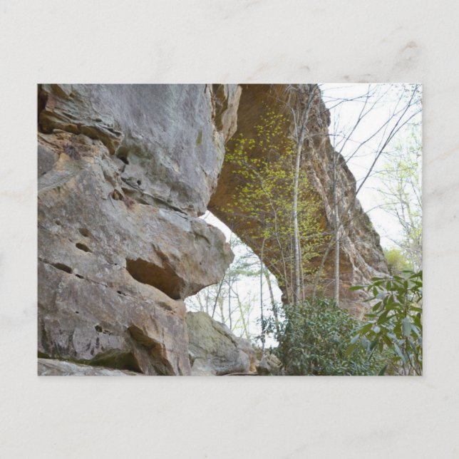 Postal Kentucky Bridge (Anverso)