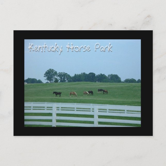 Postal Kentucky Horse Park (Anverso)