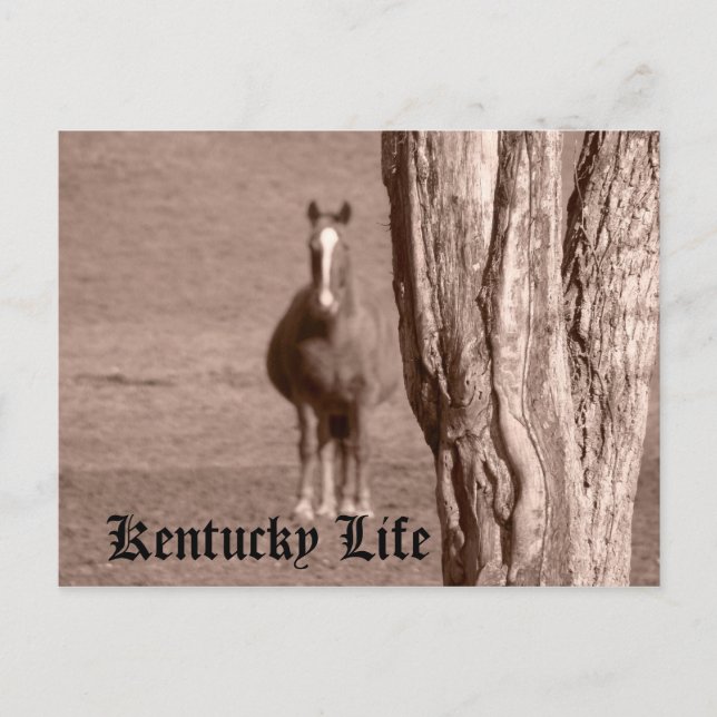 Postal Kentucky Life (Anverso)