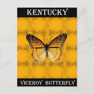 Postal Kentucky Viceroy Butterfly