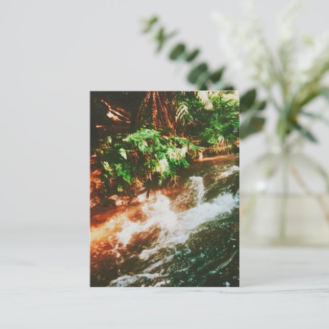 Postal Kerosene Creek, Rotorua, Nueva Zelanda (Anverso de pie)